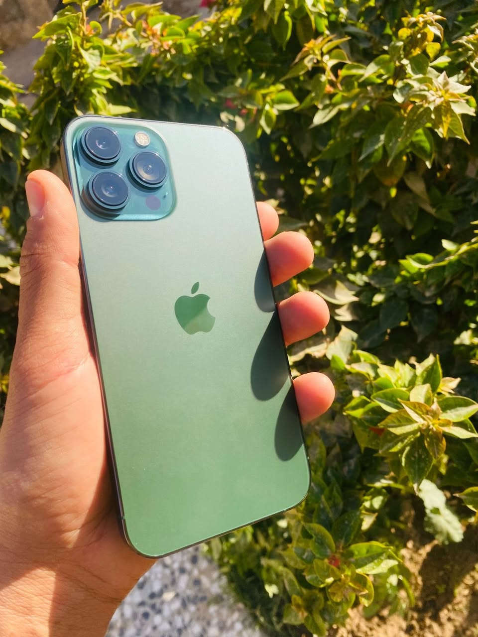 13 Pro Max
زيتوني 

بطاريه 81 بلادية ما مبدله 

شاشه اصليه ما مبدله شخط مابيها 

جهاز نظيف بمعنى الكلمة مابي اي مشكله 

السعر : - 760 الف 

للتواصل : - 
***********
