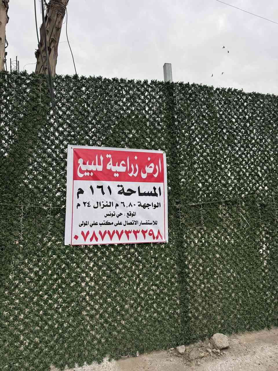 السلام عليكم 
ارض زراعي للبيع 
طابو سند 25 
المساحة 161 متر 
الواجه 6.80 نزال 24 
الموقع 📍 حي تونس الزراعي قرب شركة تيوتا 
مكتب علي المولى للعقار 📍🏠
سعر مناسب 🔥
***********
