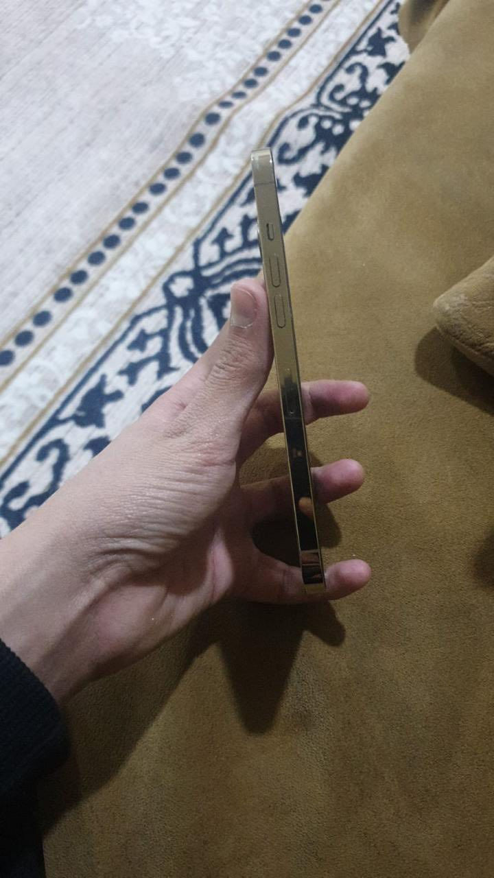 ‏iPhone 12 Pro Max جهاز كله بلادي بدل كلاس خارجية شاش بلادي كله شغال ذاكرته ٢٥٦نضيف بس الضهر مفطر ومبدل كلاسه وبطاريه عل فحص اذا بي تعليك تاخذا وتروح مراوس بايفون  بطاريه ١٠٠ ممراوس مكاني بغداد ابو غريب جهاز كله شغال


**إذا كنت صاحب هذا الإعلان وتريد حذفه لأي سبب، رجاءا أرسل رسالة إلى الدعم الفني**