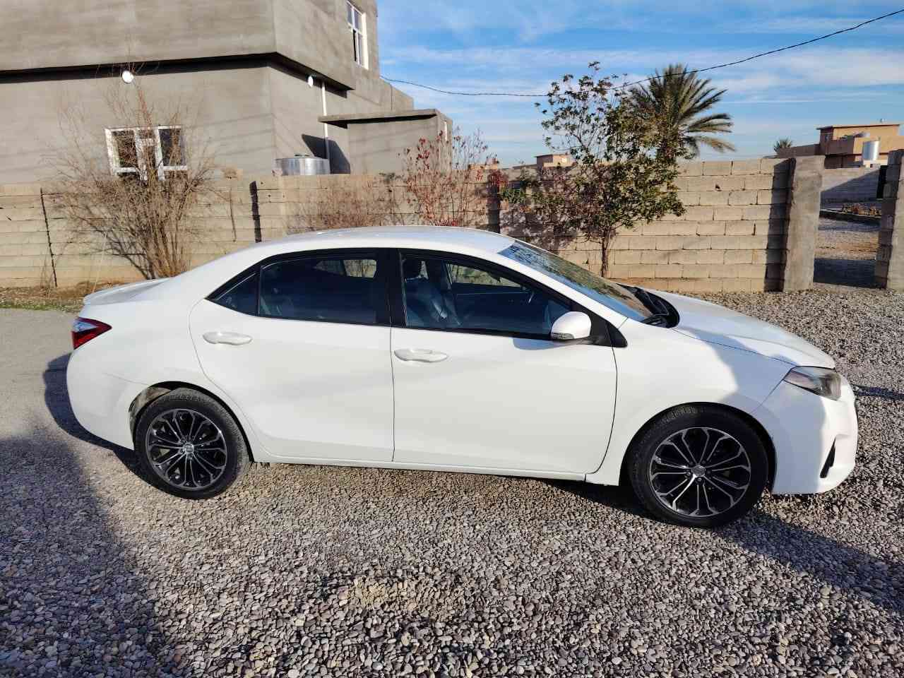 سلام عليكم اخوان كورلاا 16 بيها بس بونيت امبدل بدون دواخل.. امراوس اب كورلاا تكسي موديل؟؟ 19 18 17. ***********
