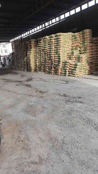 سمنت • أجود أنواع • النجف