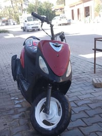 ماكس منغولي • نضيفه • ٤٩