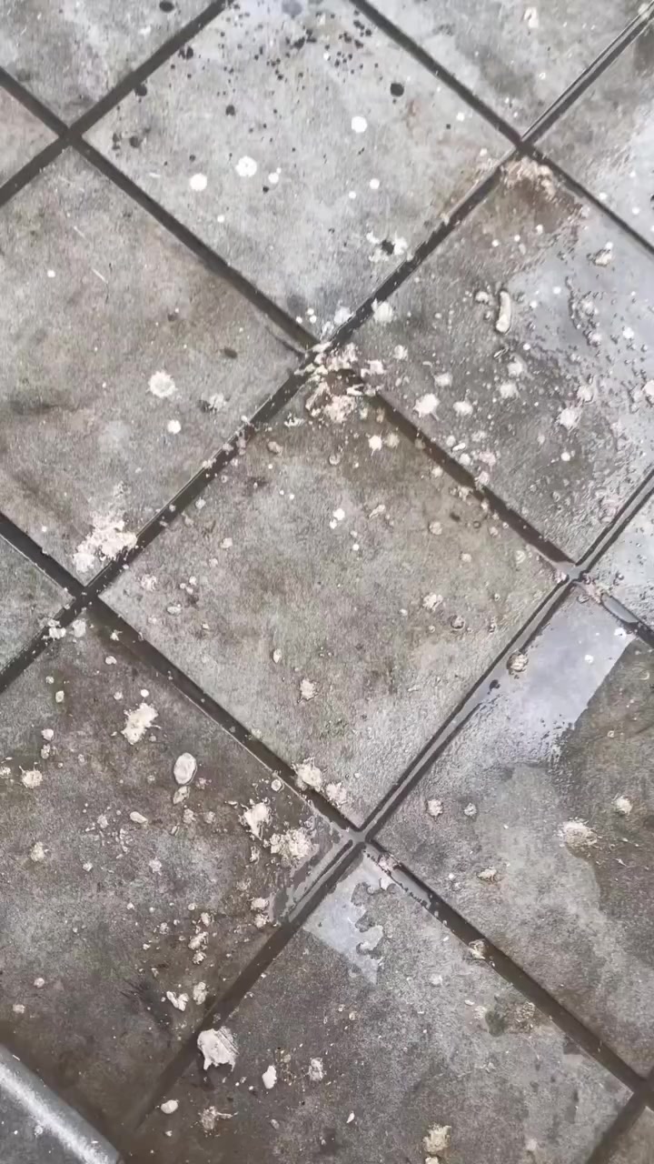 تعديل وتصليح الارضيات ومعالجه كافة انواع الارضيات ؟؟؟ تعاني من ارضيتك إرسالها والحل يمنا 
اكثر سؤال طلبآ لنا في شركتنا تابع الفديو
خمس سنوات فعلية امان وراحه ولمعه 
تعبت من ارضيتك؟ قديمة , باهته ومفطرة‼️ لكينه الك الحل وبدون 
متبدل ارضيتك ولازيادة تكلفة ⁉️ شلون 
🥇دار النظافة 🥇لجلي ومعالجة الارضيات  تقدملكم عدة خدمات 
♥️خدمة جلي الارضيات (كونكريت-مرمر-كرانيت-كاشي)
♠️خدمة معالجة الارضيات (معالجة الحفر والتشققات ) 
♥️خدمة  تصليب الارضيات 
♥️خدمة  بولش (تلميع) الارضيات
♠️خدمة حماية الارضية بمواد عازلة
#بشنو_نختلف_عن_باقي_شركات
دار النظافة تختلف لأن متعاونة ويه شركة كليندكس الايطالية  من اجهزة حديثة ومواد اصلية وكوادر محترفة ومتدربة  #يعني_نضمن_لك_الجودة
🕹 مستعدين لابرام العقود 
(المنازل _  الدوائر الحكومية_الشركات_  الفنادق _ المطاعم _مراكز التجميل _المولات _ المنتجعات السياحيه _ المطارات ).
.....................................................................................

📶 للاستفسار ***********_*********** 
🎗الفرع الاول:بغداد -شارع فلسطين

#جلي_موقعي #الشعب_الصيني_ماله_حل😂😂 #عراقيه❤وافتخر😌✌🇮🇶 عراق عراقين  خدمة_معالجة_الارضيات عامل بغداد تنظيف مرمر كرانيت  اصلاح_ارضيات خدمة_تنظيف دار_النظافة تنظيف جلي
