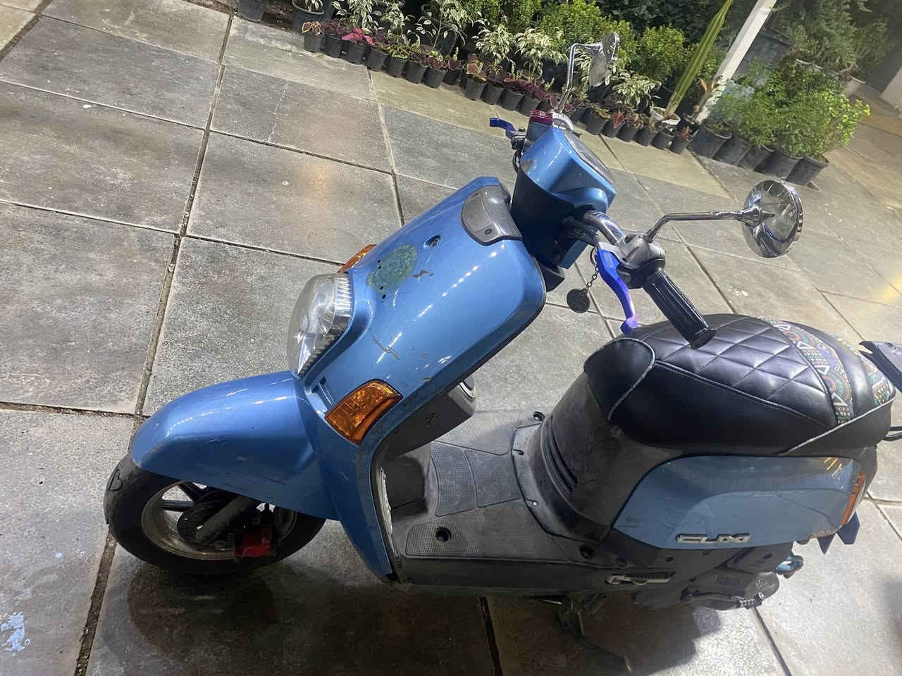 سلام عليكم عليكم مراوس بعدله ناشفه رقمي ***********
