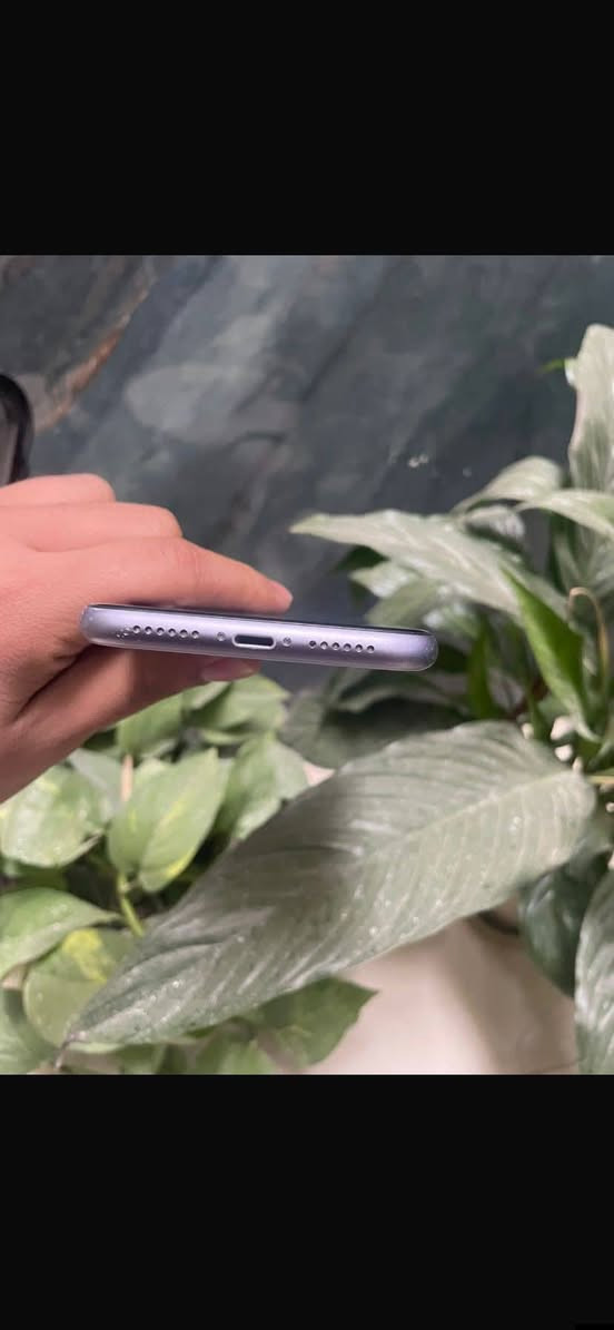 سلام عليكم لبيع ايفون 11 بطاريه 77 اصليه مبدل فقط شاشه اصليه 3 اختيارات ذاكره 64  السعر 190 مكاني حله 
***********
