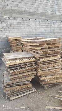 سكيب • ديالى