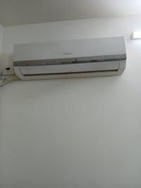 سبلت توسوت للبيع "2 طن" مكان بغداد حي الجهاد سعر 350 الف   تجي تفحصه و...