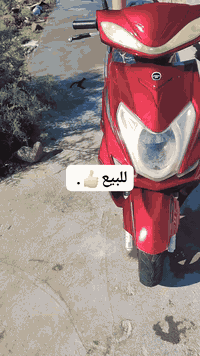 سلام عليكم.
دراجه سكنس للبيع. غراضها نضيفه ما مفتوحه باكيت بعدها اشاير لايت هورن سلف شغالات  فقط عداد السرعه مو شغال سبب البيع الناس سعرها 550 المكان القرنه نهيرات الشماليه..ـ
تواصل واتس ***********
