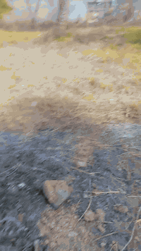 نصف دونم للبيع في منطقه الراشديه قرب الناحيه الراشديه الاستفسار 077193...