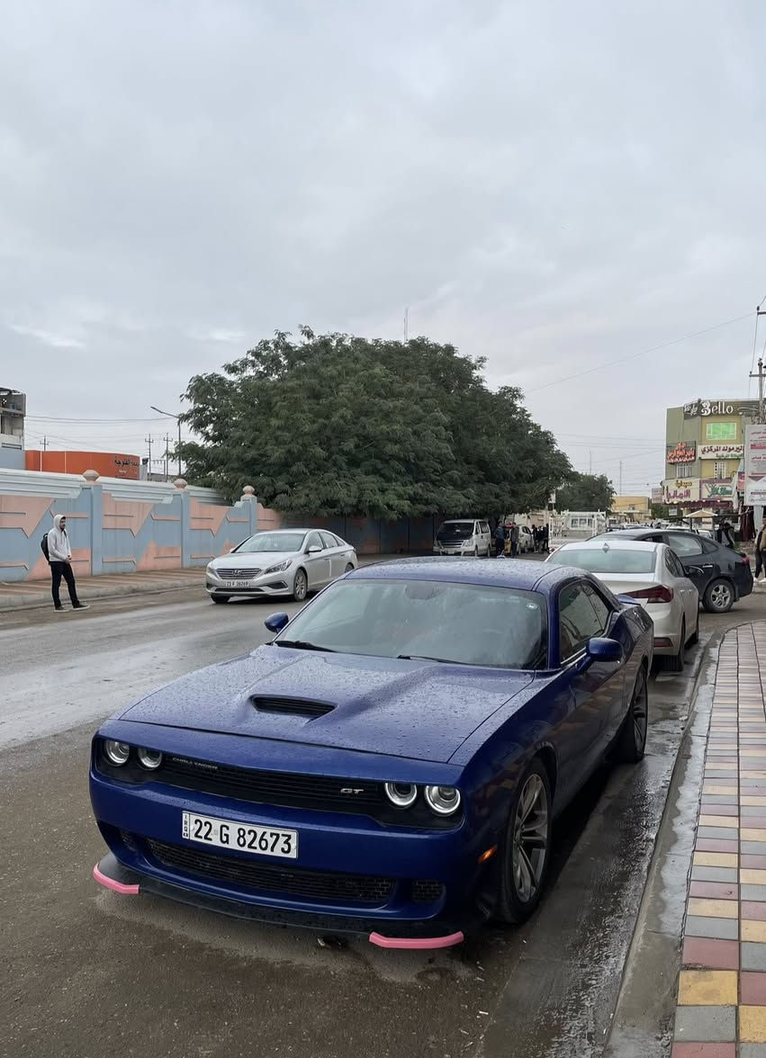 السلام عليكم
جالنجر  2022 GT سوبر تراك باك فول عدة الفتحة
داخل كنتارة بلادي ماشية ٧٢ 
بيها جاملغ وبنيد بدون دواخل حادث خفيف 
وبيها كلير من امريكا صفحة السكن
السعر 190 وبيها مجال للشراي ما اوكف وياه
***********
