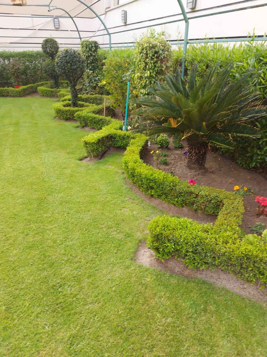 السلام عليكم عمل كافت الحديق


**إذا كنت صاحب هذا الإعلان وتريد حذفه لأي سبب، رجاءا أرسل رسالة إلى الدعم الفني**