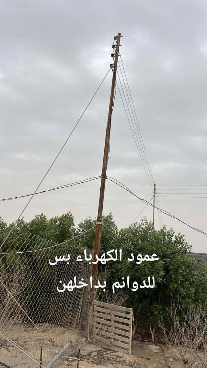 مكلف بالنشر هذا رقم راعيه *********** مزرعة 4 دوانم مسيجة بلوك بية مشتمل غرفة ومطبخ وحمام وبية بئر ارتواز عدد 2 وبية 700 سدرة وبية نخل تقريباً 100 نخلة وبية باقي الأشجار مثل الكاربس مكانه تجاري تبعد عن التبليط مسافة 30 متر شارع الغاز من الخور الكورية ويربط بشارع سفوان زبير مكان جدا راقي وجيران طيبين تفاصيل اكثر أتصل لاتجي خاص
