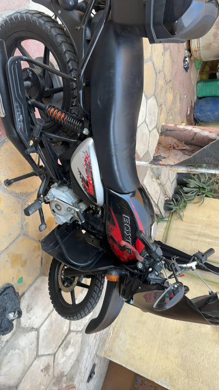 السلام عليكم للبيع بوكسر جبلي هندي مديل 22 اوراق كاملة أصولية7 من كمرك قرص واجة وصولات وما اطلع بيهه هواي
لان مو قوي بالسياقة والنظافة كدامك البراغي شخط ماعليهن والمكينة ماراح تسمع صوتة بدون نقص الله يرزق الي ياخذه اكرر الدراجة مال بيت بعد اكيد تعرفون من تريد ترقم اوراق كله اصولي وكلشي مدفوع دهن فاتر ماعرف شنو اليوم بدلتهن الاسم اموزيل حته الولد ابو الحمل كلي هاذه دهن جديد الفتلر مابي شي هاي دائما هيج ولان محتاج وضرف رايد ابيعة
#السعر رايدهه 2,000,000 مجال للشراي والطيبين 
العنوان بغداد البياع الشرطة الخامسة للاتصال*********** واتساب هم متوفر
