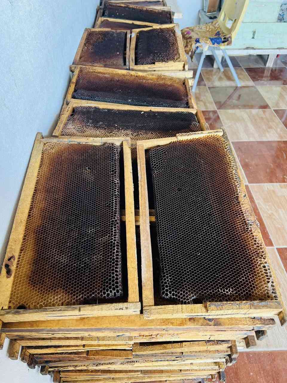 سلام عليكم
موجود صناديق يراني 

موجود صناديق عراقي 

موجود عاسلات عراقي ويراني 

موجود يطارات نخروب 

موجود يطارات أساس 

موجود حاجز ملكي 

اتصال 📞 ***********

واتساب ***********
