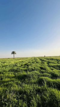 واسط الزبيديه • منطقة شبيشه • ضمان ٦ سنوات