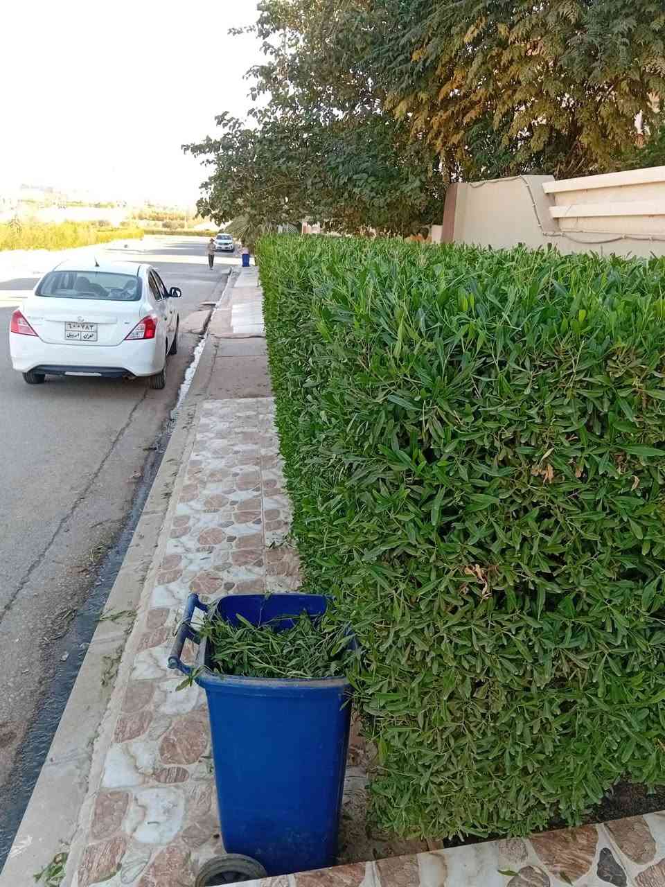 حديقجي في اربيل + تصميم وترتيب ديكورات 
زرع حدائق + أدامه شهريه+ زرع اشجار + تقليم الأشجار +قص ثيل 
تنظيف وترتيب الحدائق + قلب وتنظيف تربه ترتيب +
تبديل تربه + ترتيب سياج الحدائق بل الملون 
ترتيب اطارات الحدائق بل حصو الملون الاستفسار 

واتساب ***********
