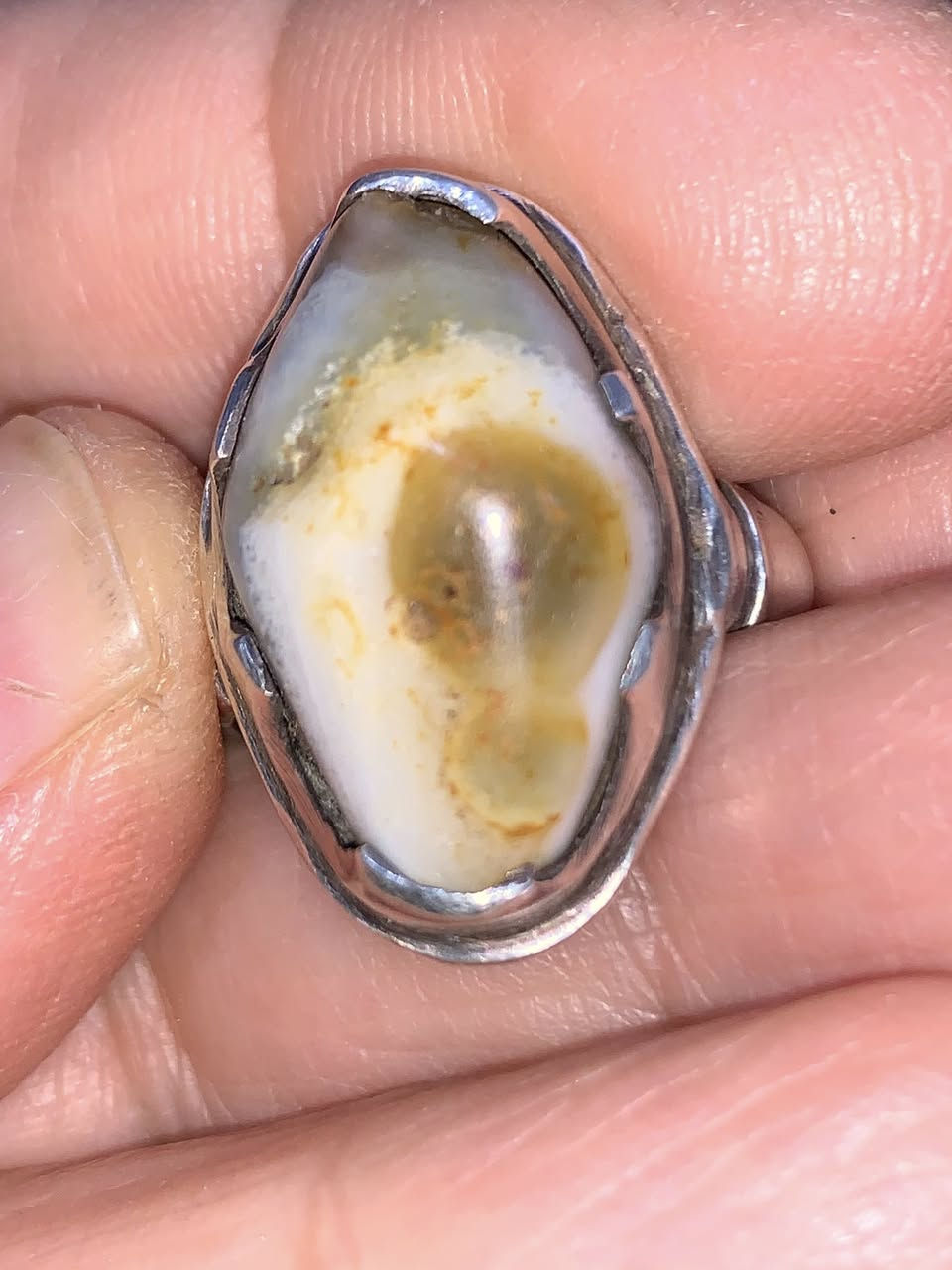 محبس سليماني مال كاع سعره على الخاص


**إذا كنت صاحب هذا الإعلان وتريد حذفه لأي سبب، رجاءا أرسل رسالة إلى الدعم الفني**