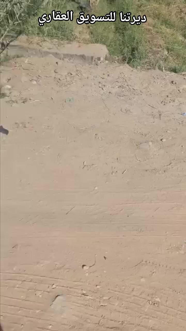 #للبيع_دونم_مع_بيت

ارض بمساحة دونم طابو سند 25 
متوفر ماء سقي +ماء اساله+كهرباء .. وايضا قريبه من التبليط

تحتوي على دار متكامل حديث🏡
ارضيه مرمر 
🚩الموقــع ابي غرق يبعد كيلو تقريبا عن شارع حله كربلاء 
ـــــــــــــــــــــــــــــــــ
للاستفسار يرجى الاتصال/*********** زيد الدليمي
                                     ***********
                                    *********** محمد الطائي 

🔸️نستقبل جميع العروض.
مكتب ديرتنا للتسويق العقاري
