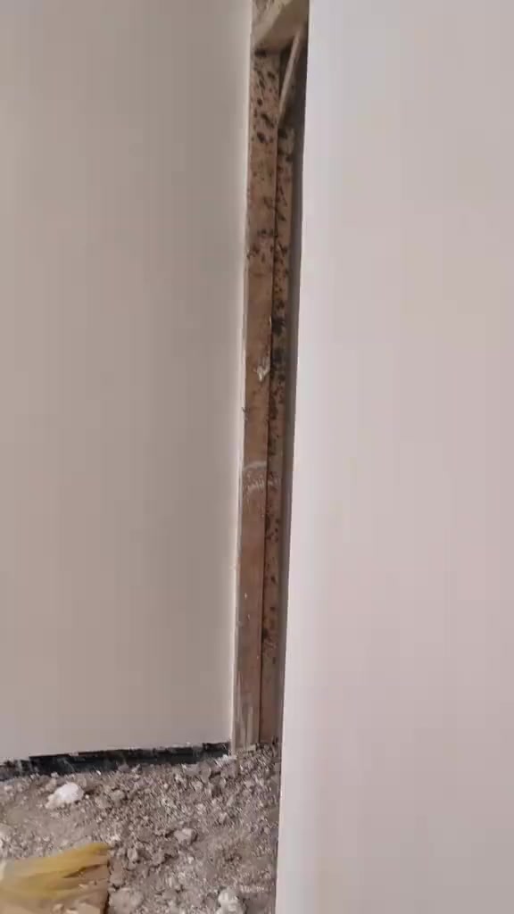 ان شاء الله باجر متواجد الشرقاط والشغل جاهز يخابر كادر لبخ جص من الموصل  يتكون من 5اسطوات و5عماله  شغل مساطر وحسب الطلب سرعه ونضافه وشغل مرتب
جاهزين للعمل   شرط هندسه اكبر بيت نطول بي 3 ايام  تلف ماكو شرط الحايط جام  بياض ثلج  
***********
***********
