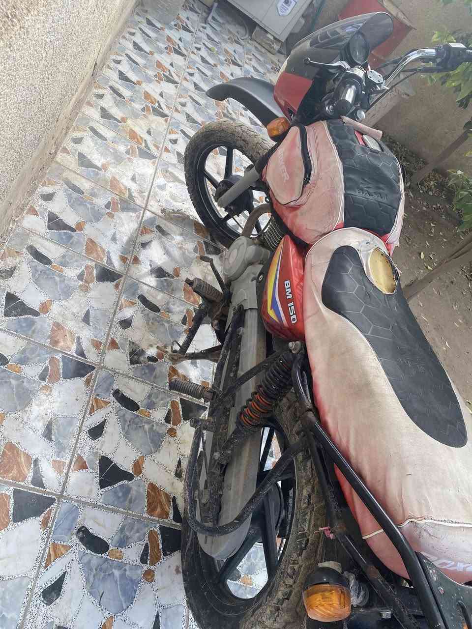 بوكسر جبلي موديل 19 أوراق استنساخ اربعه
بس بيه تبخير سعر ٦٠٠ بيه مجال *********** 
يوجد بي  واتساب مكان بابل الاسكندريه
