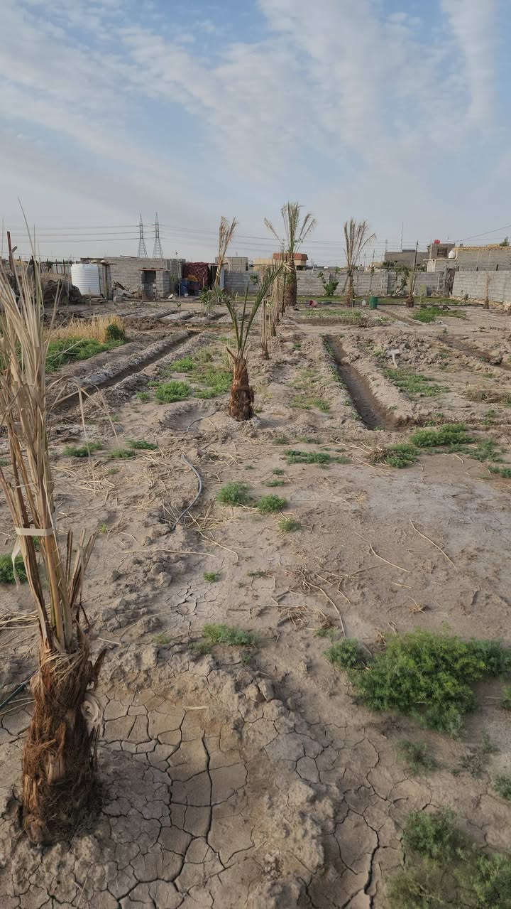 قطعه ارض للبيع في زراعي حي الجامعة سند 25 مشموله بالتطويب مرقمه خدمات كهرباء ماء مجاري مشموله بالجهد الخدمي
المساحه.1000.متر واجهه . 49نزال . 21. 
التواصل ***********
السعر تفاصيل خـــــــــــــاص
قطعه ارض للبيع في زراعي حي الجامعة سند 25 مشموله بالتطويب مرقمه خدمات كهرباء ماء مجاري مشموله بالجهد الخدمي
