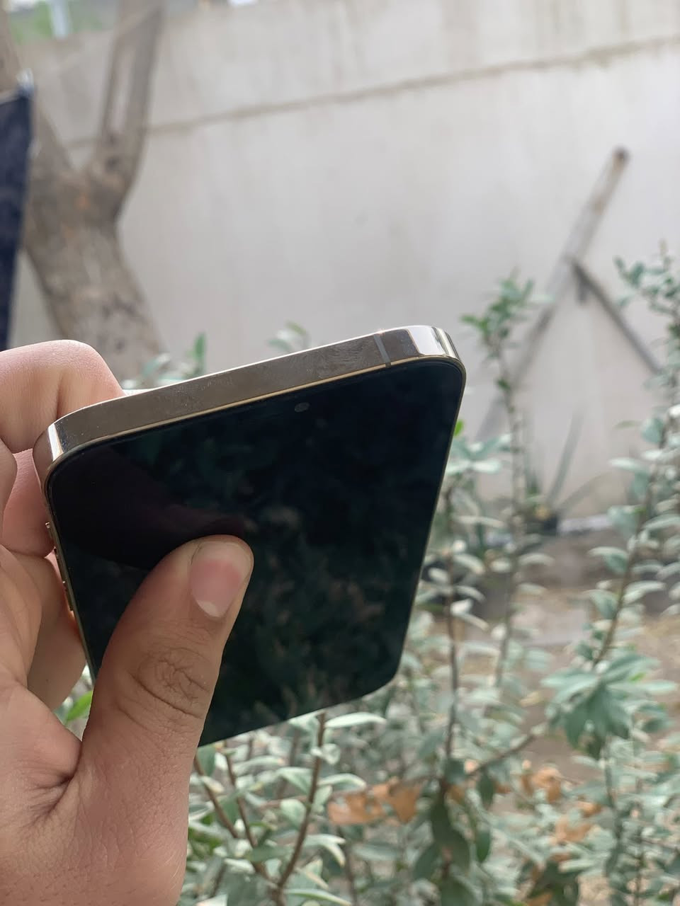 آيفون 12 برو ماكس للبيع ذاكره 256 بطاريه 77 مقفول ايكلود نضيف حيل ولا شخط بي كله شغال مقفول ايلكود بس سعر 250 وبي مجال


**إذا كنت صاحب هذا الإعلان وتريد حذفه لأي سبب، رجاءا أرسل رسالة إلى الدعم الفني**