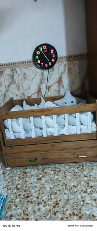 لبيع العنوان بغداد الحسينية مال راشديه  07725211488 الرقم بي واتساب