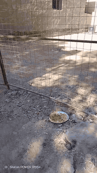 حله بابل • ١٩٠م • تجاري شارع الجمعيه