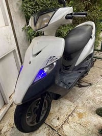 للبيع ثعلب بلادي مختمة كله حت سواد وكالة مكفول من كلشي شلعة معدل فول د...