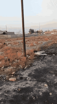 السلام عليكم قطعة أرض للبيع مساحة 200متر
سبع قصور شارع المشروع على شارع
20 قريب  المركز الصحي 
للستفسار الاتصال على رقم ***********
