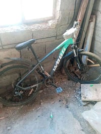 شويه رايد • ترتيب • ٥٠