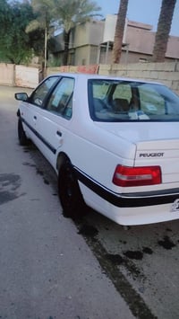 ٢٠١٣ • كفالة عام • بسماية