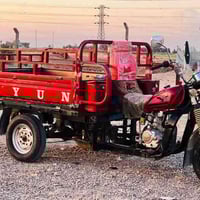 ستوته دايون • قلاب • بيجي