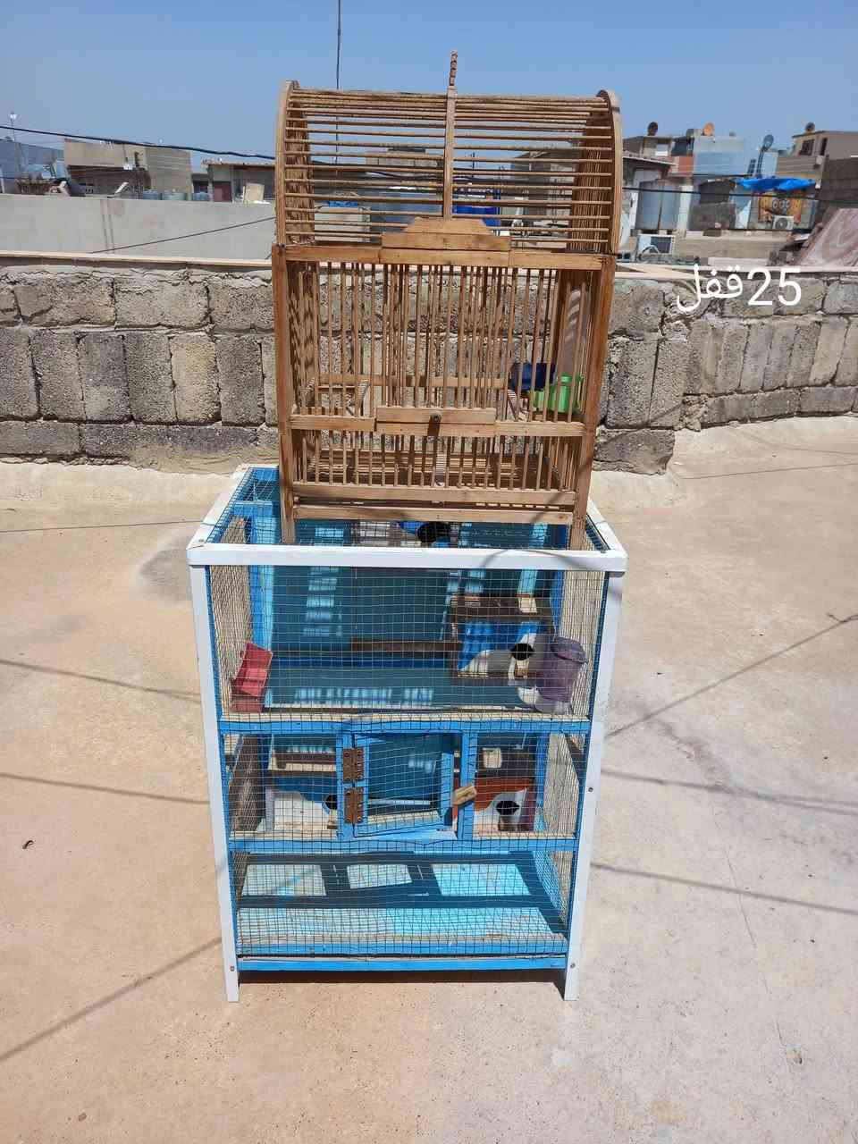 العنوان حي السماح التسعين
***********
***********

