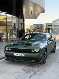 ٤ قطع • بدون دواخل • أربيل