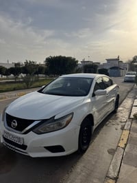 التيما • ٢٠١٧ • رقم اربيل