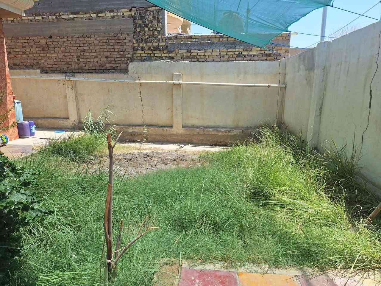 تنضيف الحديقه بصوره وعمل جيد جدا وشغل مرتب قبل الشغل وبعد الشغل هذا شغنه بابل متواجد حاليا ***********بي واتساب
