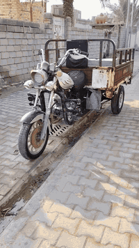 ستوتة 2013 • اوراق اصلية • قطع جديدة