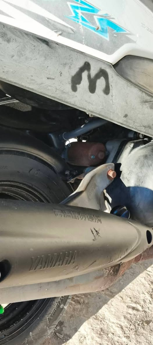 الوكاله بلادية ما مفتوحه ابد ملح المكينه بعده بيها كفاله من الطول ل الطول كلشي مختم نعومه السعر 850 وبيها مجال حك الجية مكاني كربلاء حي الحسين الرقم ***********
