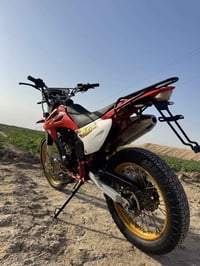 كاويار ٢٥٠ • ٢٠٢٤ • ديالى