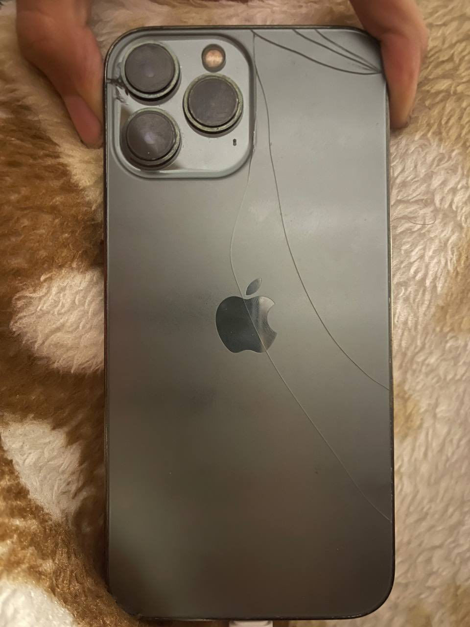 السلام عليكم للبيع فقط
ايفون 13 برو ماكس ذاكره 256 دبل سيمكارت نسبة البطارية 84 (البطارية مبدلة تفصيخ)

حالة الجهاز جيدة بشكل عام لكن بيه الملاحظات التاليه:

 1 الشاشة مبدله مو احسن شي بلسوك من تشغل الجهاز بالبداية يخربط شوية وبعدها يستقر طبيعي بس لمسه حلو و الضهر مفطور

2 الكاميرا الواسعة ما تطلع ببرنامج الكاميرا (ما أعرف السبب بالضبط)

السعر 500 الف جوه السوك محتاج فلوس ضروري و مستعجل عليه مكاني بغداد السيديه او البياع


**إذا كنت صاحب هذا الإعلان وتريد حذفه لأي سبب، رجاءا أرسل رسالة إلى الدعم الفني**