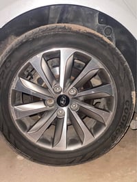 مراوس بويل • رياضي • جديد