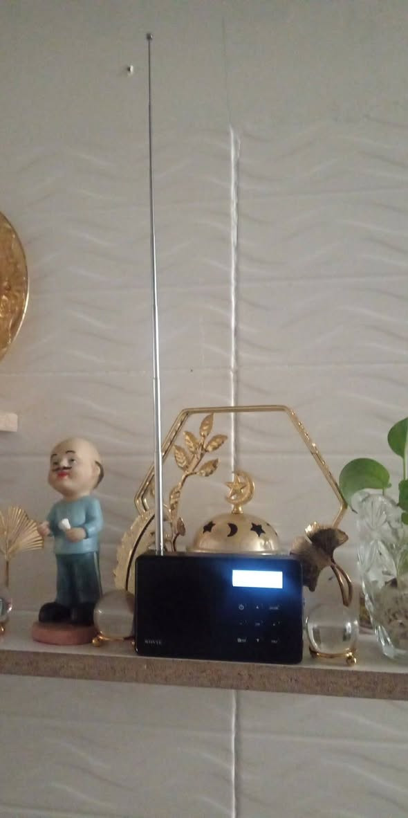 سعرها ٢٠ الف شرط شغل امزون رقم ***********هاذارقمي واتساب جديده ويا كارتونه كامل غراضها
