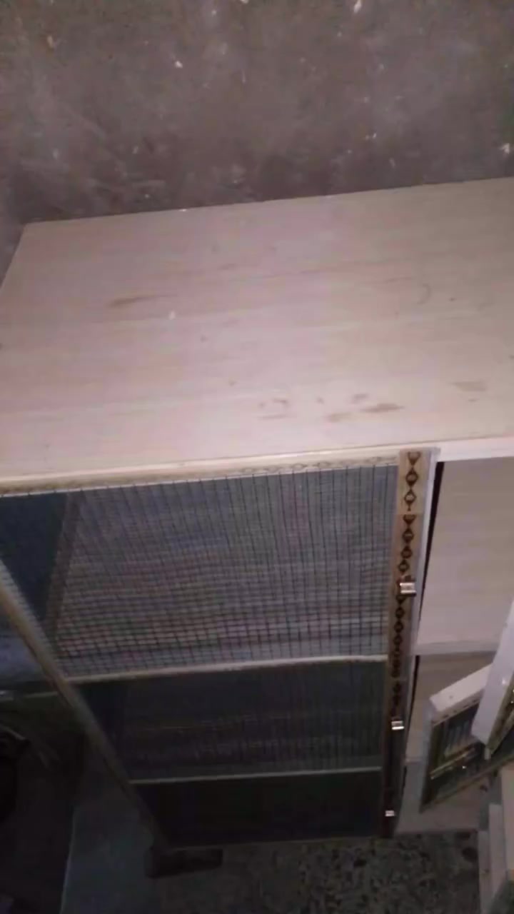 خانه ام 3 ب 25 قفص ب 25 اخشاب ومعاكس ب 10 بيعا وحده مكاني كرمه علي حي الرساله ***********
