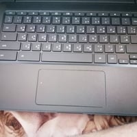 لابتوب • رام ٨ • ٤ نواة