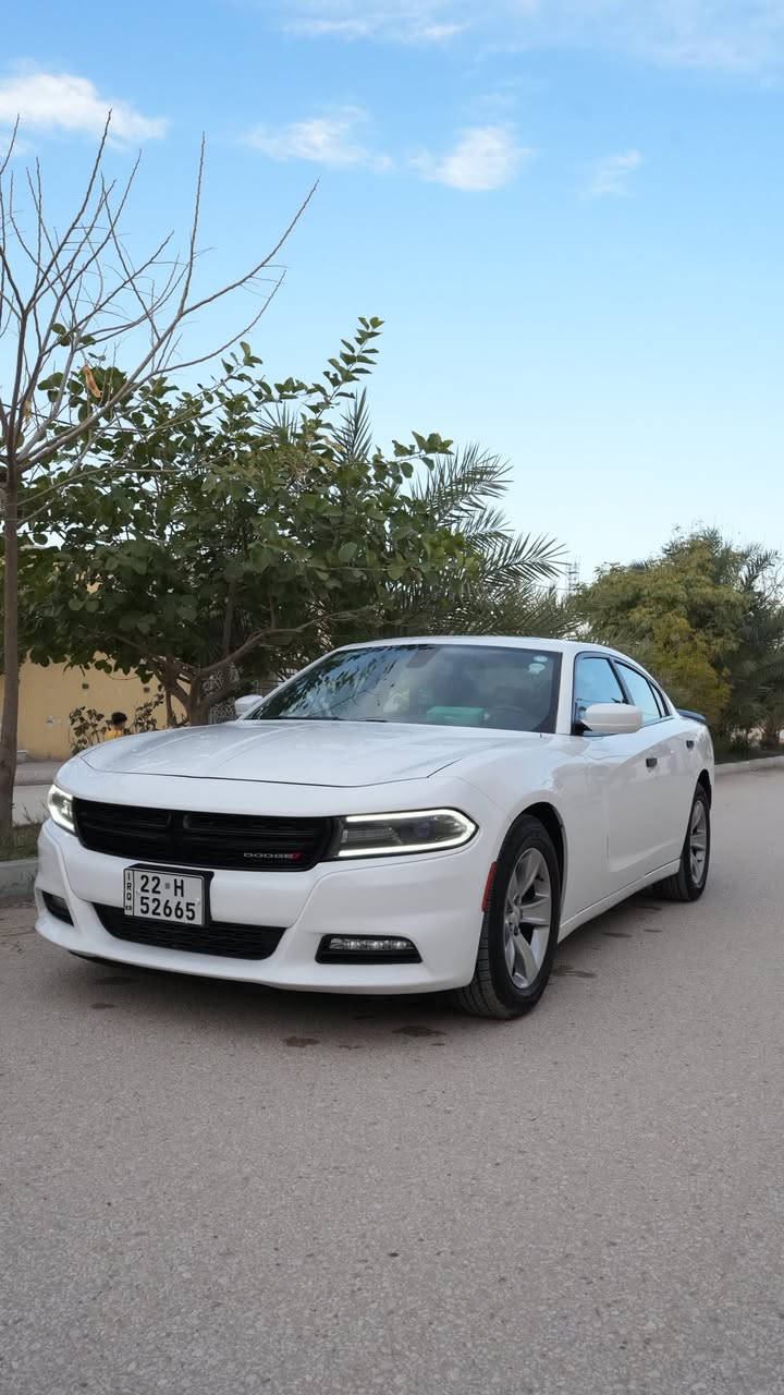 السلام عليكم
جارجر sxt مودل ٢٠١٨ محرك ٣٦٠٠
المواصفات 
كفالة عامة عدا طخة زغيرة بالباب الخلفي باقية ع وضعها موجودة بالصور  
كير مكينة حدادية بدي كلة مكفول 
فتحة قمارة 
شاشة كبيرة 
عداد ٢٦٠ 
كشنات تدفئه حضن
تشغل عن بعد 
نقطة عمياء 
بصمات عدد ٢
سستم صوت الباين 
دمام
ماشية 96 ميل
ويل ١٨ 
تايرات جديدة 
حدادية جديدة فلنجات جديدة 
برغي مناقصة السيارة  
مكان السيارة نجف 
السعر ٢٣٥$


**إذا كنت صاحب هذا الإعلان وتريد حذفه لأي سبب، رجاءا أرسل رسالة إلى الدعم الفني**