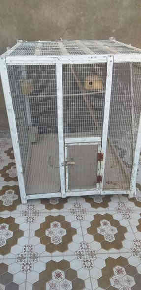 قفص لبيع حديد ثقيل مكان بل كوفه السعر ٧٠ بي مجال الاتصال ***********
