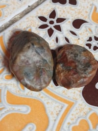 ذني • مراسلة خاصة