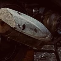 صالنصة • ماكس عدلة • كفالة