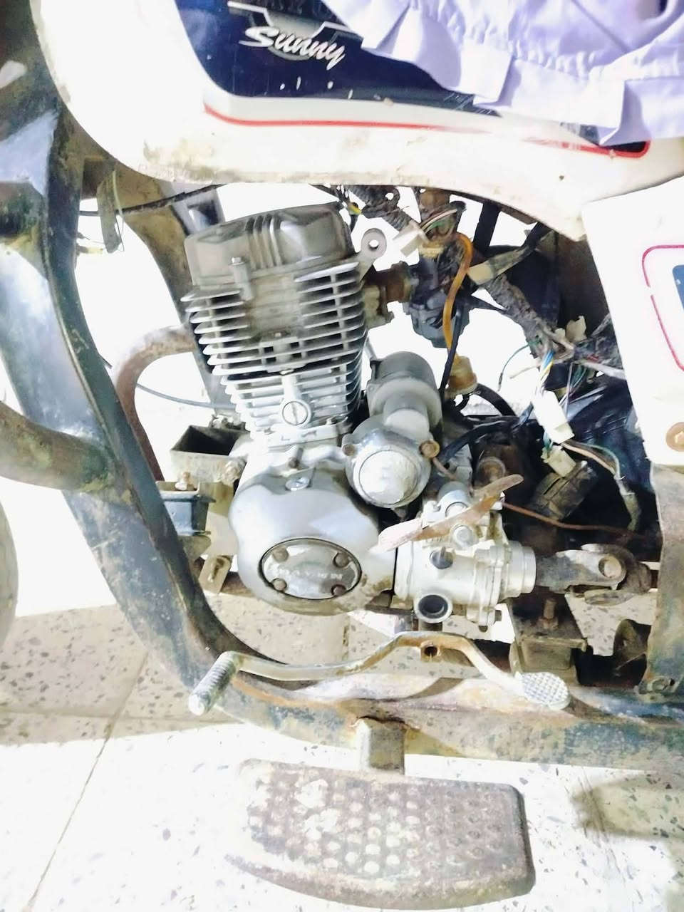 سلام عليكم 14 البيع وراق اصوليه سعر 900 بيه مجال مكان شطره ***********
